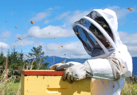 pszczelarz w kombinezonie